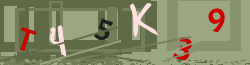 Captcha code